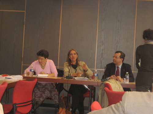 Audition de Mme Saragosse, Directrice de TV5